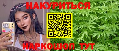 прущие грибы Анапа