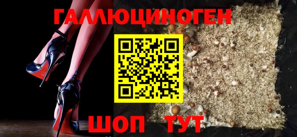 Псилоцибиновые грибы мицелий Клинцы