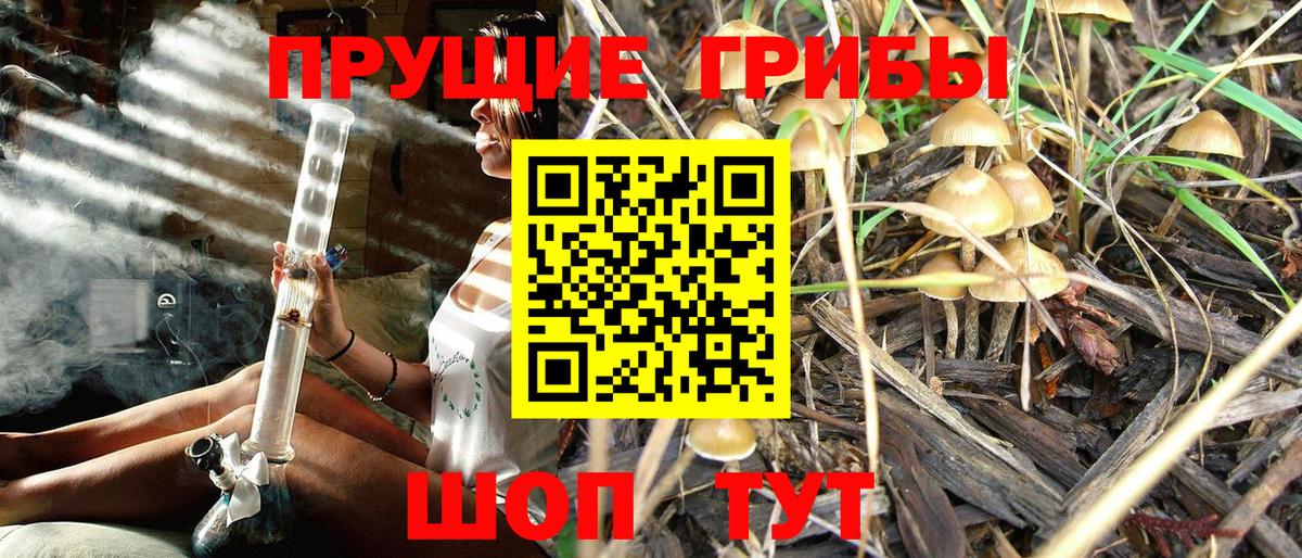 Клинцы  Галлюциногенные грибы MAGIC MUSHROOMS  Вход с VPN 